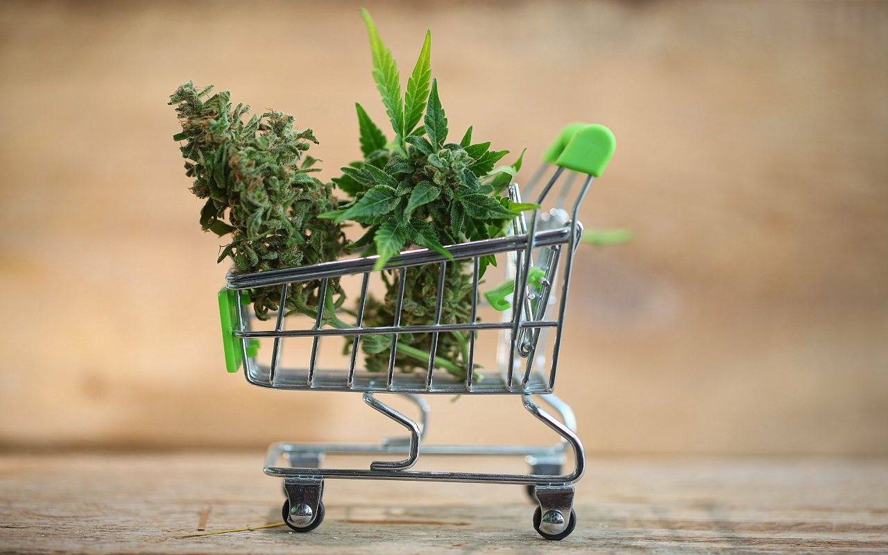 The Best Way To Buy Weed Online – Safe, Easy, And Secure