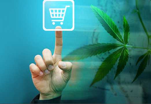 Things To Consider When You buy weed online