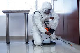 Why Hiring a Professional Pest Control Company is Critical in 2026