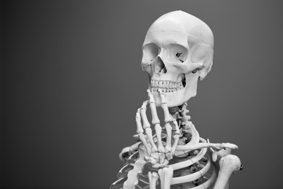Dr. John Pispidikis and the Value of Patient Education in Musculoskeletal Wellness